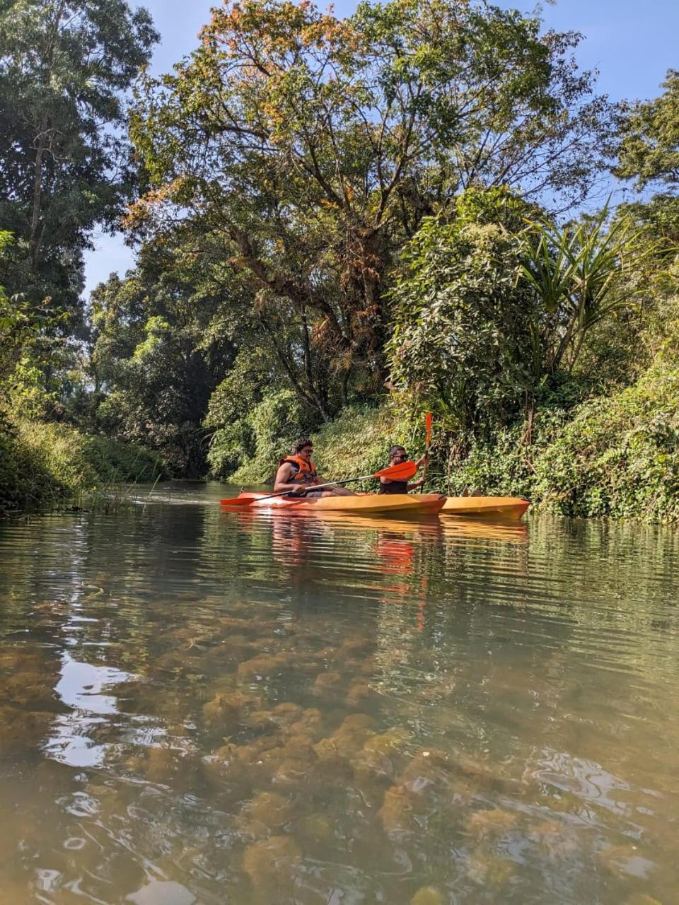 Nature Spot Cottages Coorg Kurchi Экстерьер фото